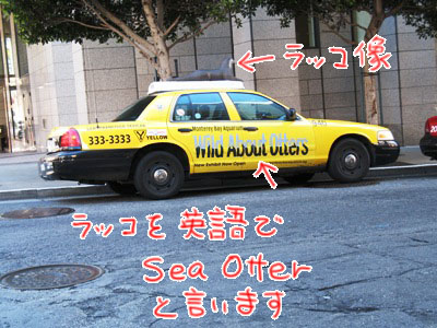 ラッコとタクシー