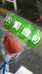 167cc684.jpg