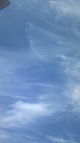31bcb819.jpg
