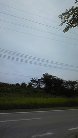 81f99637.jpg