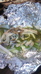885686ab.jpg