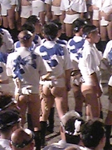 8bc06940.jpg