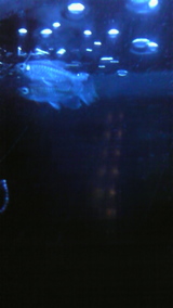 fd93d4d8.jpg