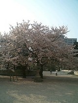 050409_1652~0001.jpg