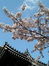 050409_1650~0002.jpg