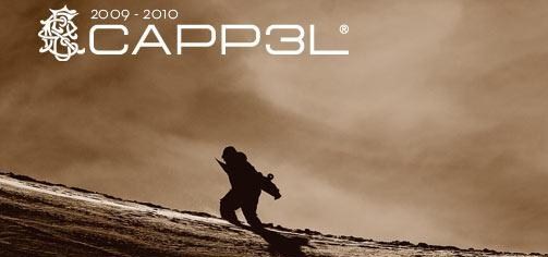 USAȯ��ͤΥ��Ρ��֥��ɡ�cappel���彣ͣ��μ�갷���Ǥ���