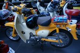 DSC04048_800x532