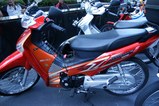 DSC04049_800x532