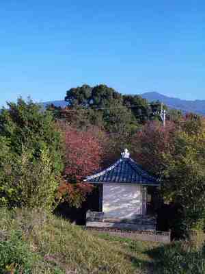 1a67e92a.jpg