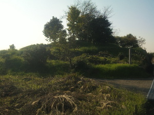 68801e7d.jpg