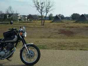 6c014d06.jpg
