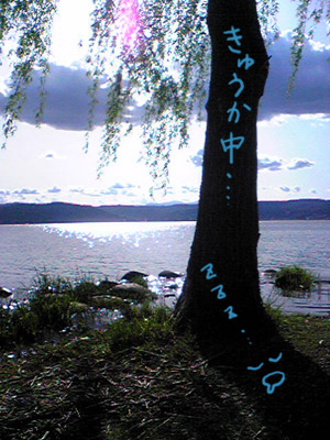 080504_tree