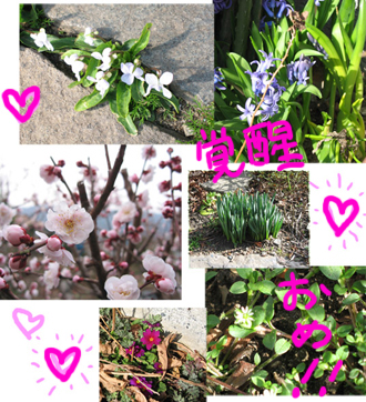 070328hana_l