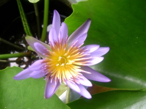 080819