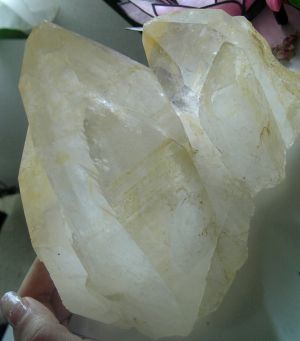 080306golden_healer