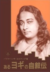 yogi