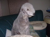 blog