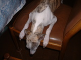 blog1