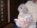 blog
