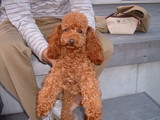 blog