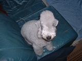 Blog
