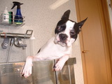 blog
