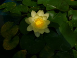 blog1