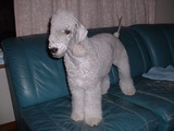 Blog
