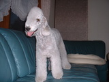 blog
