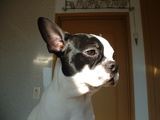 blog
