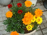 blog