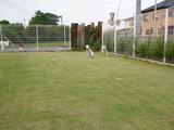 blog1