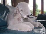 blog1