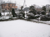 blog1