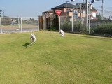 blog