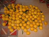 blog1