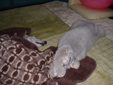 blog