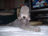 blog