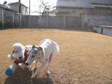 blog1