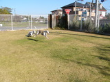 blog