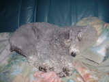 blog