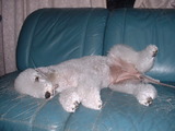 blog1