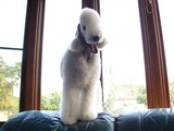 blog
