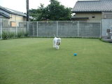 blog