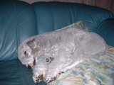 blog