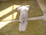 blog1