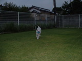 blog