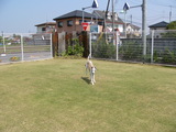 blog1