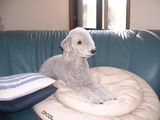 blog