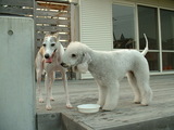 blog